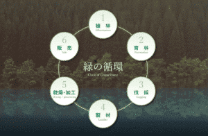 Nakamoto principles of forest management