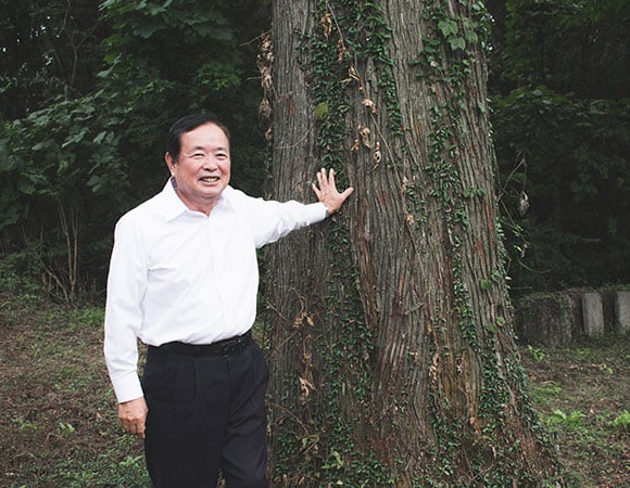 Senior manager with a sugi tree