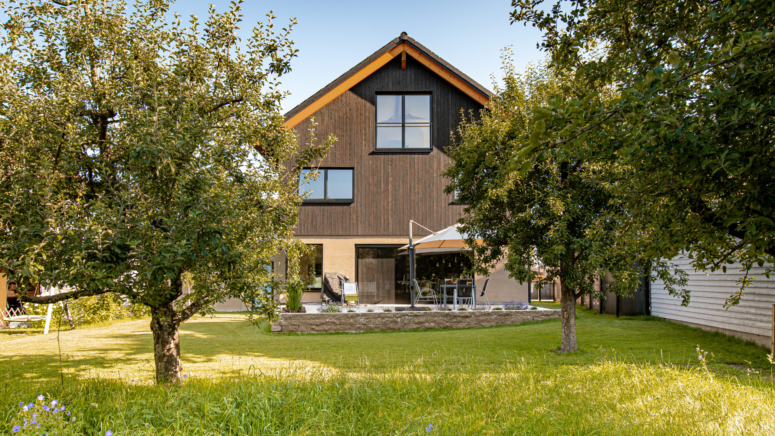 Back view of Gendai clad house with garden trees